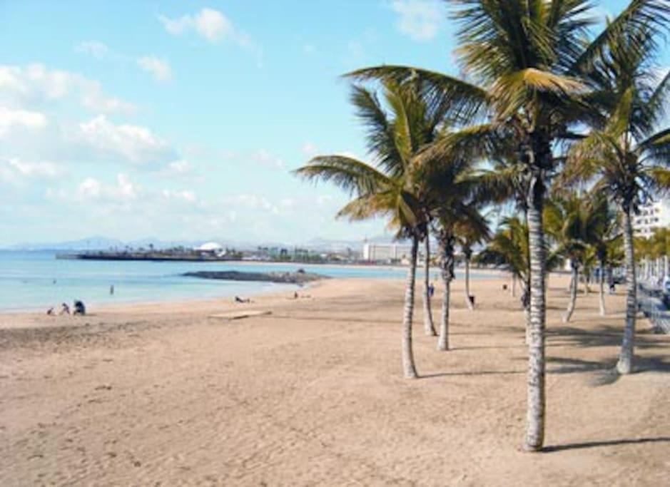 In - 1 Or 2 Bedrooms Appartement